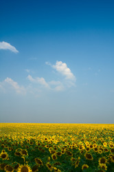 Similar image 1678301