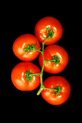 Similar image 1678310