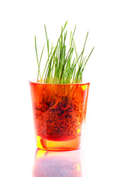 Similar image 1678314