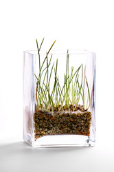 Similar image 1678317