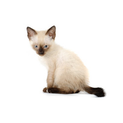 Similar image 1678354