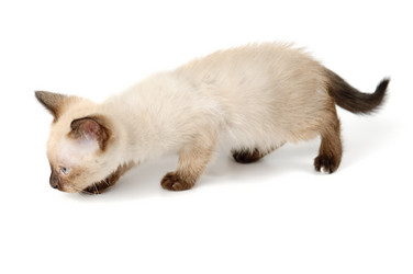 Similar image 1678356