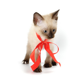 Similar image 1678357