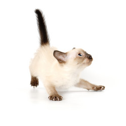 Similar image 1678359