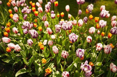 Similar image 1678386