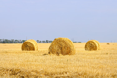 Similar image 1678403