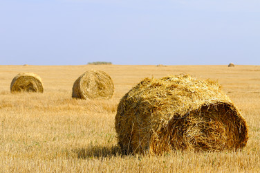 Similar image 1678404