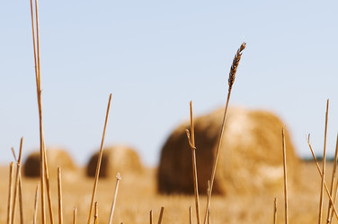 Similar image 1678406