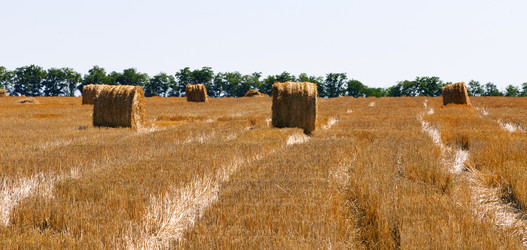 Similar image 1678407