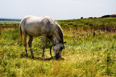 Similar image 1678408