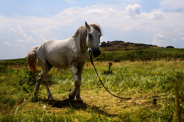 Similar image 1678409