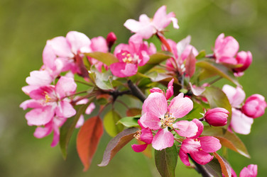 Similar image 1678414