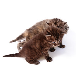 Similar image 1678415