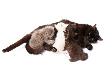 Similar image 1678419