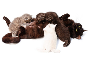 Similar image 1678421