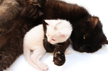 Similar image 1678426