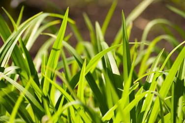 Similar image 1678425