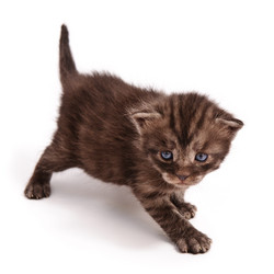 Similar image 1678429