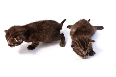 Similar image 1678432