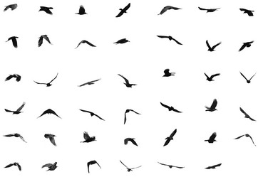 Similar image 1678476