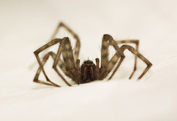 Similar image 1678533