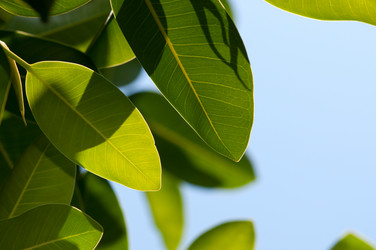 Similar image 1678623