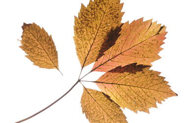 Similar image 1678640