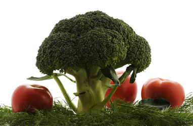 Similar image 1678651