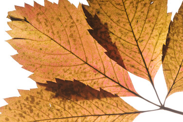 Similar image 1678653