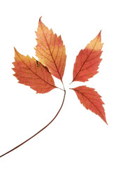 Similar image 1678654