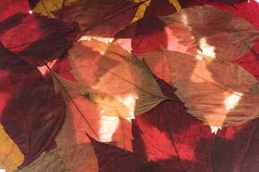 Similar image 1678655