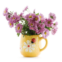 Similar image 1678680