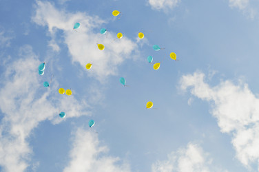 Similar image 1678710