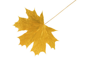 Similar image 1678721