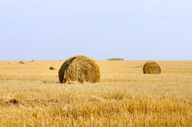 Similar image 1678807