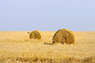 Similar image 1678808