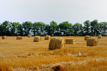 Similar image 1678809