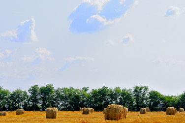 Similar image 1678826