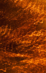 Similar image 1678913