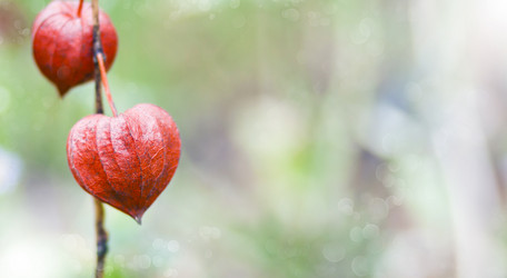 Similar image 1678915