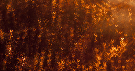 Similar image 1678919