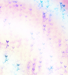 Similar image 1678921