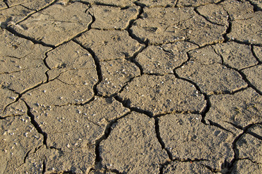 Similar image 1679162