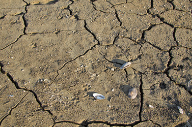 Similar image 1679170