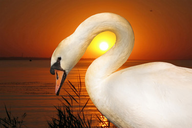 Similar image 1679788