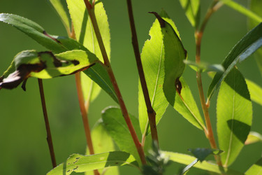 Similar image 1679790