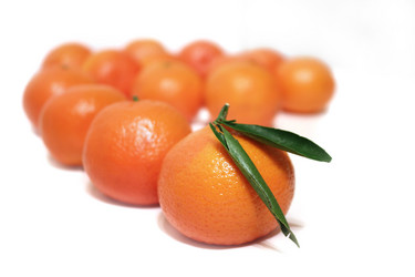 Similar image 1679791