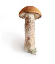 Similar image 1679828