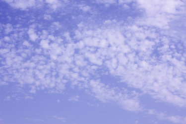 Similar image 1679851