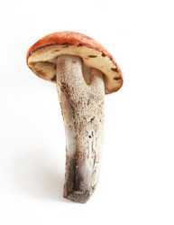 Similar image 1680082